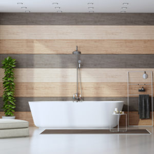 baignoire baignoire