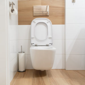 toilettes toilettes
